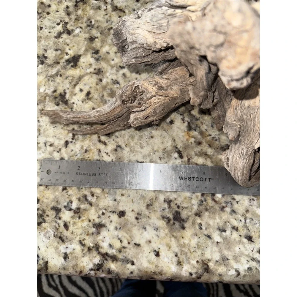 Driftwood‎ taxidermy log super super cool pieceThis very old. Flower arrangement